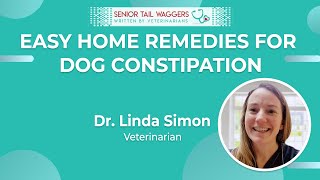 Easy home remedies to help a constipated dog - Dr. Linda Simon (Vet) with Senior Tail Waggers