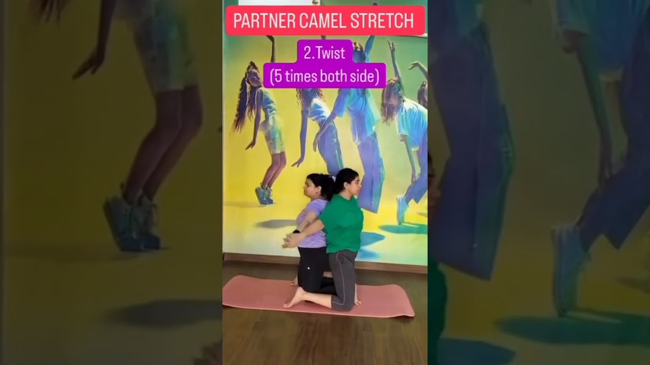 Camel Pose Variation 