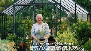 Grow Your Own Food | Citrus Fruits, Olives, Pomegranates, Avocados