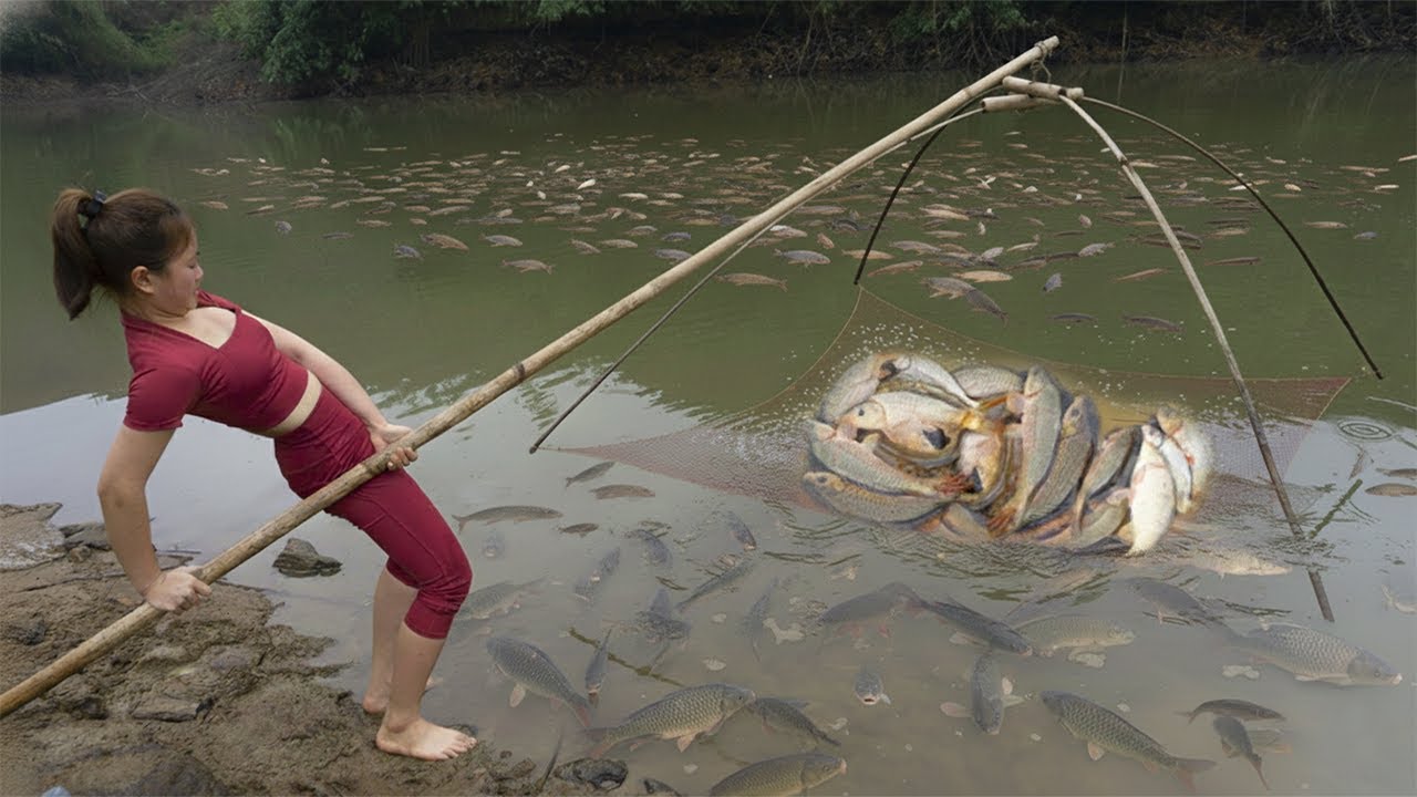 Harvesting Fish by Lift Net in Stream – Simple Tools, Big Catch in Nature
