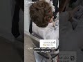 عروستنا الغاليه اسماء الف مبارك نورتيني