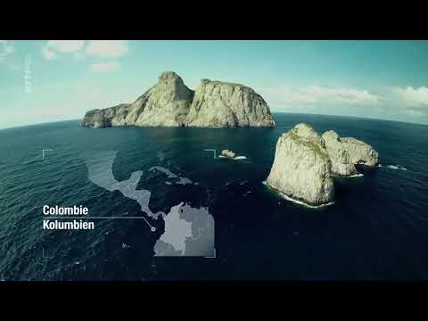 Vidéo: Cascades sous-marines - un miracle de la nature