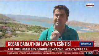 Pertekteki Lavanta Bahçesinde Kadınlar Istiam Ediliyor