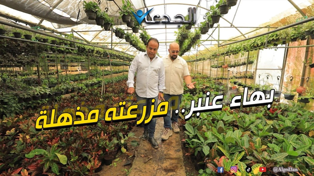 بهاء عنبر.. مزرعته مذهلة .. بيربي غزلان وطيور .. وبيصدر ٣٠٠ الف نبات زينة سنويا .. اتعلموا