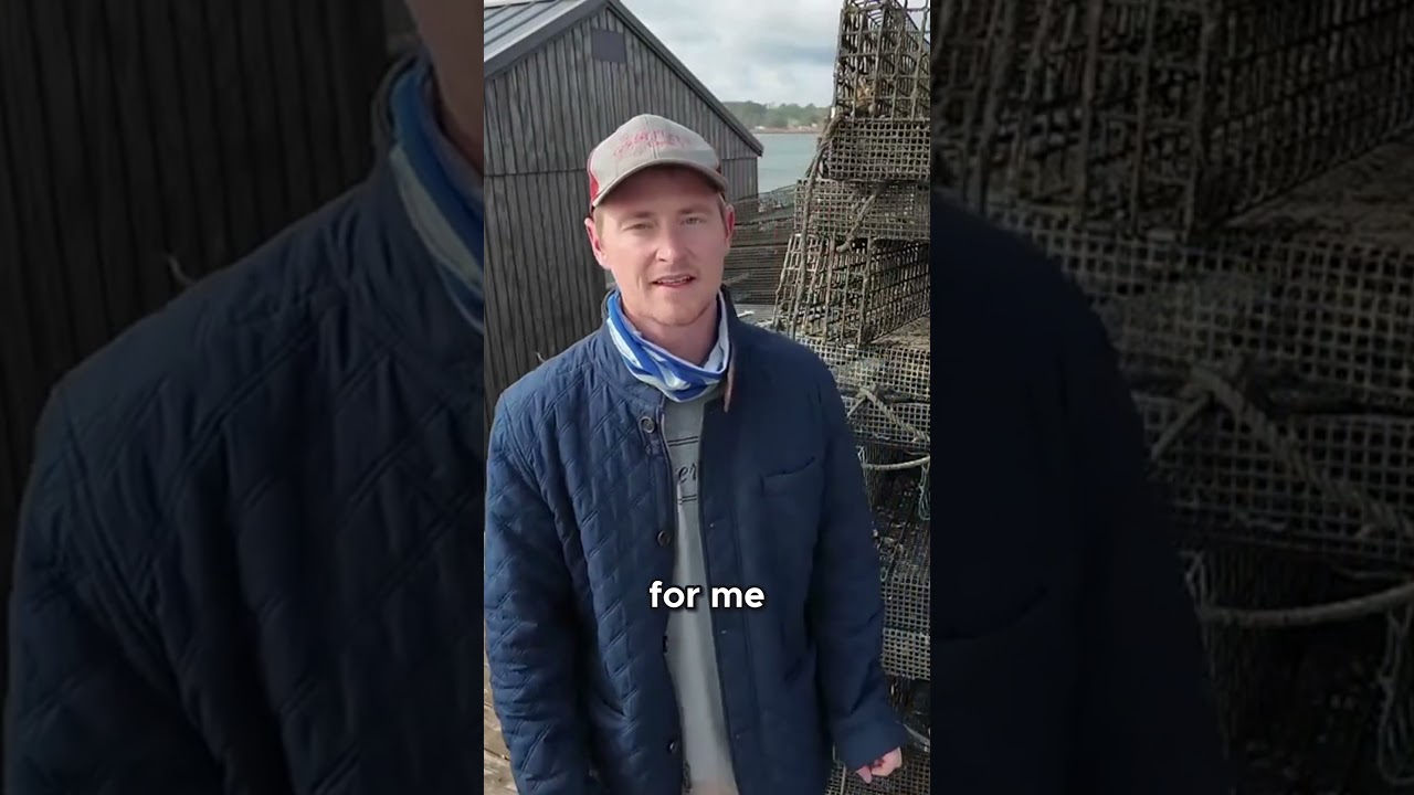 Cost-Effective tips for oyster farming! 