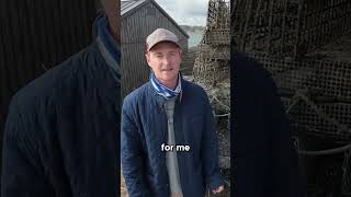 Cost-Effective tips for oyster farming! #oysterfarming #nature #beach #fishing #oyster #oysterlover