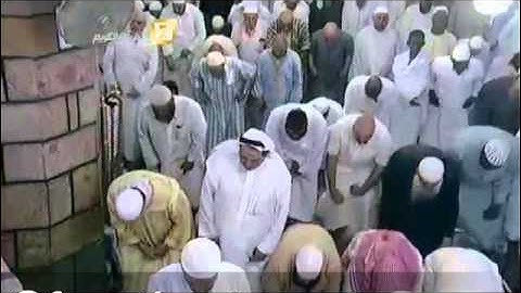 سورة ال عمران كاملة سلمان العتيبي