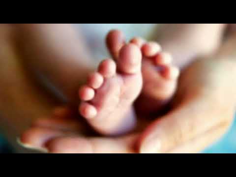 مونتاج مولود بدون حقوق بدون كتابه #بشارة_مولود