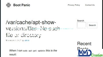 Linux error fixing | E: Problem executing scripts APT | sudo apt-get install error fixing