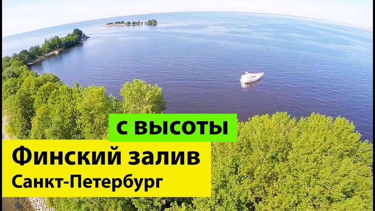 Питер Море Фото