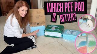 Compared 3 Popular Pee Pads: Which Pee Pads Is The BEST For Your Dog?