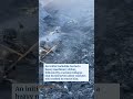 All 8 Miners Confirmed Dead After Coal Mine Collapse in Russia’s Far East