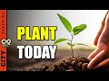 25 Vegetables You Need To Plant In August 2023