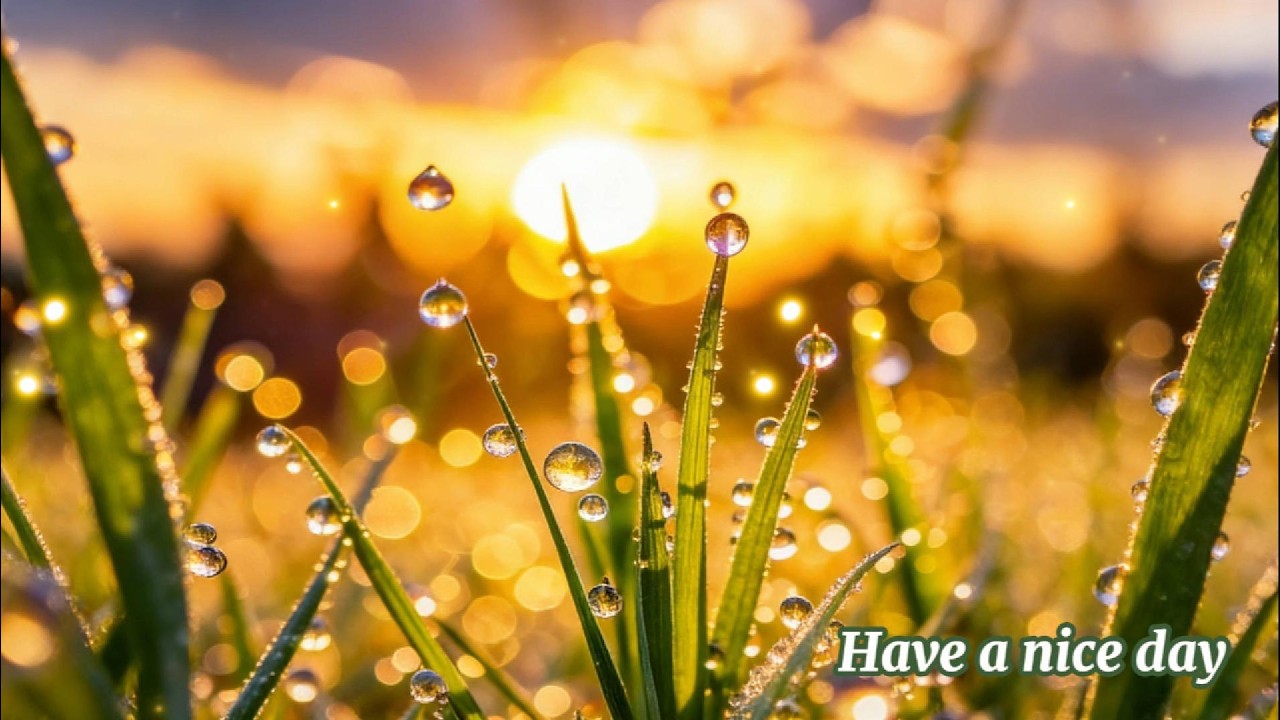 🌤️我在早晨的陽光裡迎接每一個美好的今天 | 中間無廣告 | 柔和鋼琴音樂 水晶音樂 | 早晨音樂1小時  #morningmusic #healingmusic