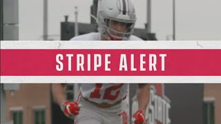Lathan Ransom Loses His Black Stripe! ⚫ 🏈 Wealth