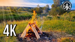 A cozy summer campfire in 4K. The sounds of fire lasting 10 hours.