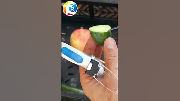 Brix refractometer test the tomato and cucumber