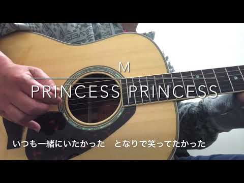 268_ M PRINCESS PRINCESS  弾き語り（Acoustic cover）