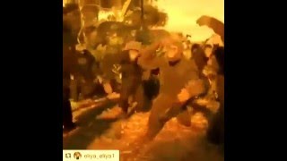 Meymunlarin Reqsi 2016