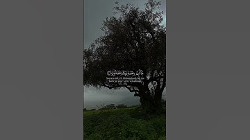بعض من آيات سورة القلم 