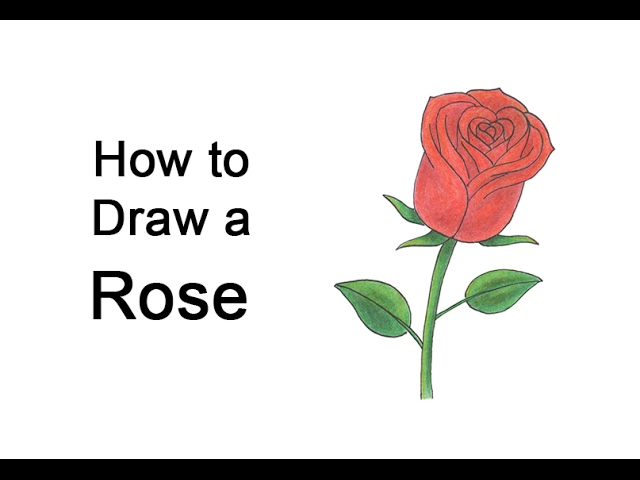 How to Draw a Rose for Valentine's Day Tutorial & Coloring Page