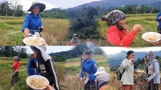 Ntuj Yuav Los Nag Maj Tshaj Los Tseem Huav Noj Qaub Qab Kawg Li Thiab