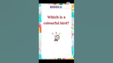 riddles #riddles with answer#english riddle #easy riddle#do you know #shorts#viral video#fun riddles