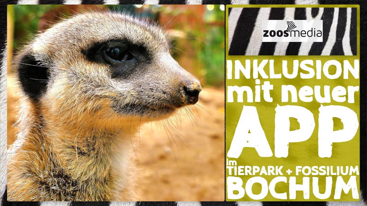 Tierpark   Fossilium Bochum: Neue APP   INKLUSION | zoos.media - YouTube