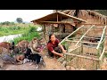 survival in the rainforest - build a pig house & cook food for herself & dogs - Eating delicious HD