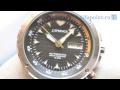  j springs beb021 international automatic