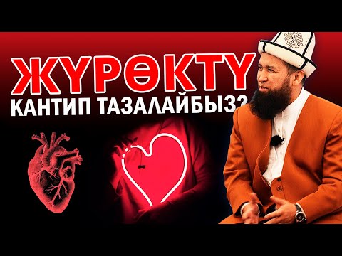 Video: Мээни тазалоонун 3 жолу