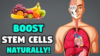 15 Best Foods for Stem Cells | Top Foods That Boost Stem Cells