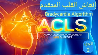 أنعاش القلب المتقدم . ADVANCED CARDIAC LIFE SUPPORT . BRADYCARDIA ALGORITHM . ACLS . الجزء 2
