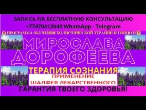 💥ПОЛЕЗНЫЕ СВОЙСТВА И ПРИМЕНЕНИЕ ШАЛФЕЯ ЛЕКАРСТВЕННОГО.💥