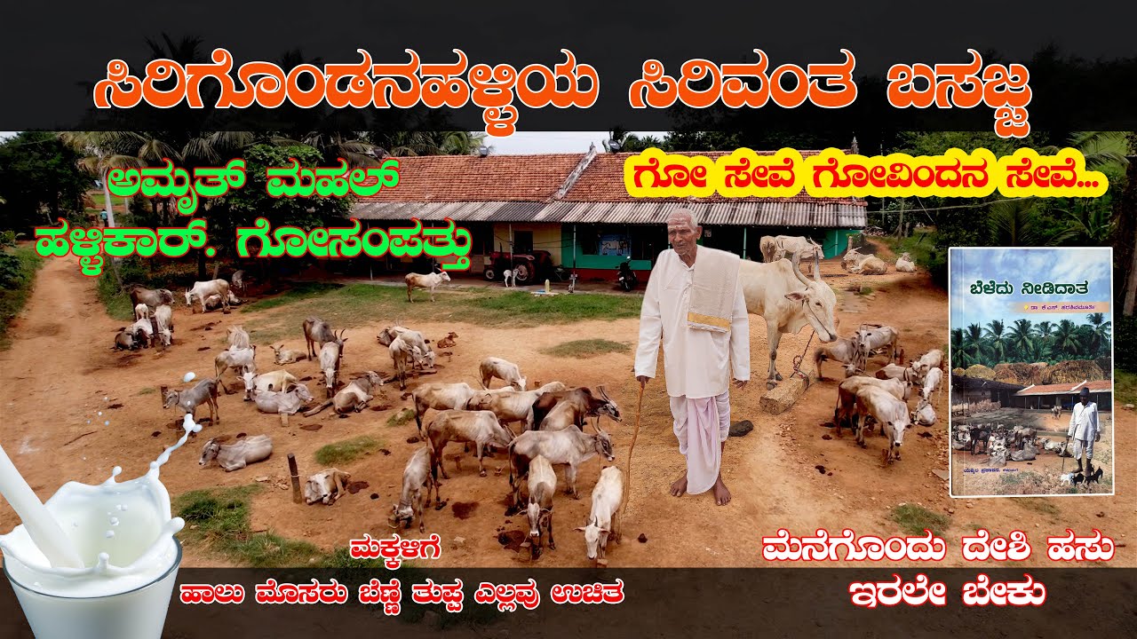ಅಮೃತ್ ಮಹಲ್ & ಹಳ್ಳಿಕಾರ್|ಗೋಸಂಪತ್ತು|Amruth Mahal |#amruthmahalcows #krishikalpatharu #hallikarcows