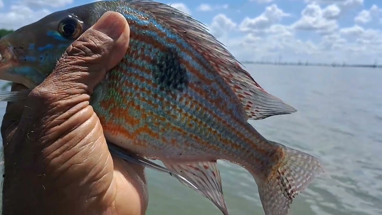 Pescaria top no Rio Grande 