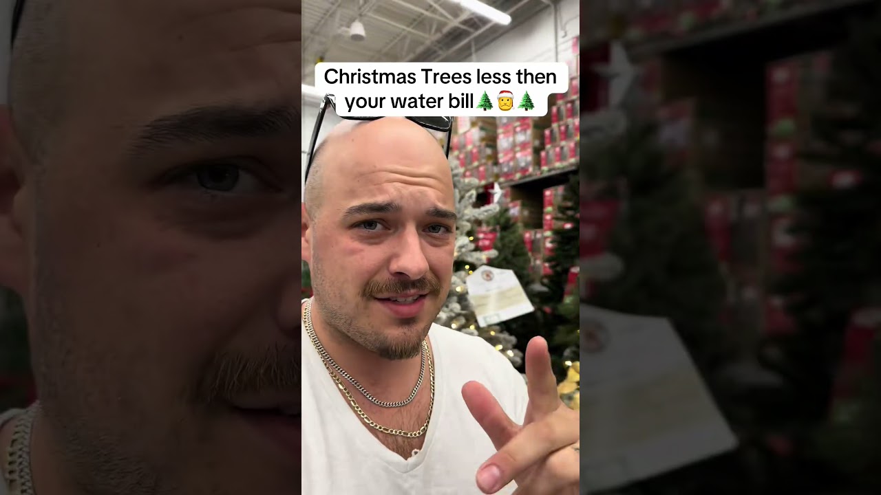 Great Deal on Pre-Lit Christmas Trees! 