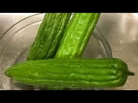 diabetes-recipes---preparing-bitter-melon