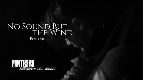 No Sound But The Wind - Editors | Music Video
