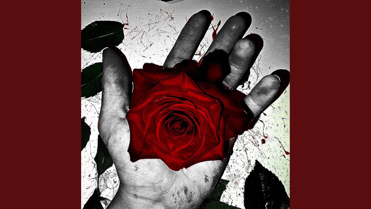 Guarda Vanilla su YouTube Guarda Vanilla su YouTube