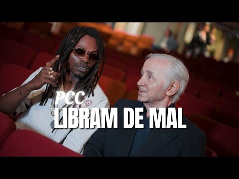 M.Cabral_pcc - Libram de mal