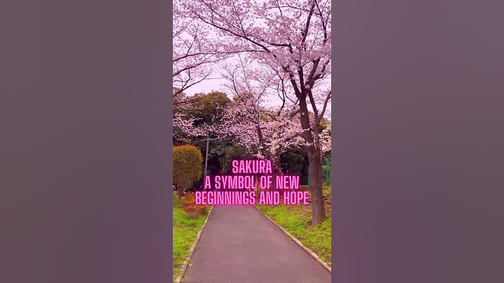 #SakuraSpectacle: Witness the Magic of Cherry Blossoms