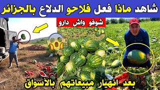 الجزائر 😱😱 شاهد ماذا فعل فلاحو الدلاع اليوم بعد انهيار مبيعاتهم في الأسواق بالجزائربعد الإشاعات