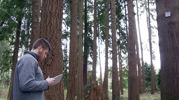 Bachelor of Science in Natural Resources - Forest Management & Forest Operations Major