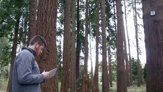 Bachelor of Science in Natural Resources - Forest Management & Forest Operations Major