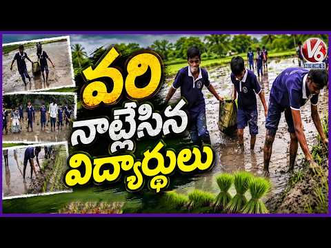 From Classroom To Farmland : Jagtial's Akshara School Students Learn Farming Skills | V6 News - V6NEWSTELUGU