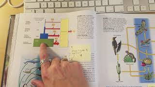 Chapter 3 Sticky Notes