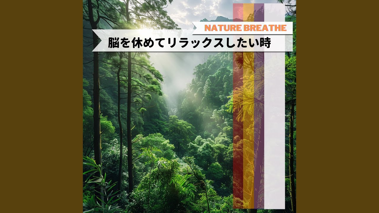 Quiet Contemplation Garden