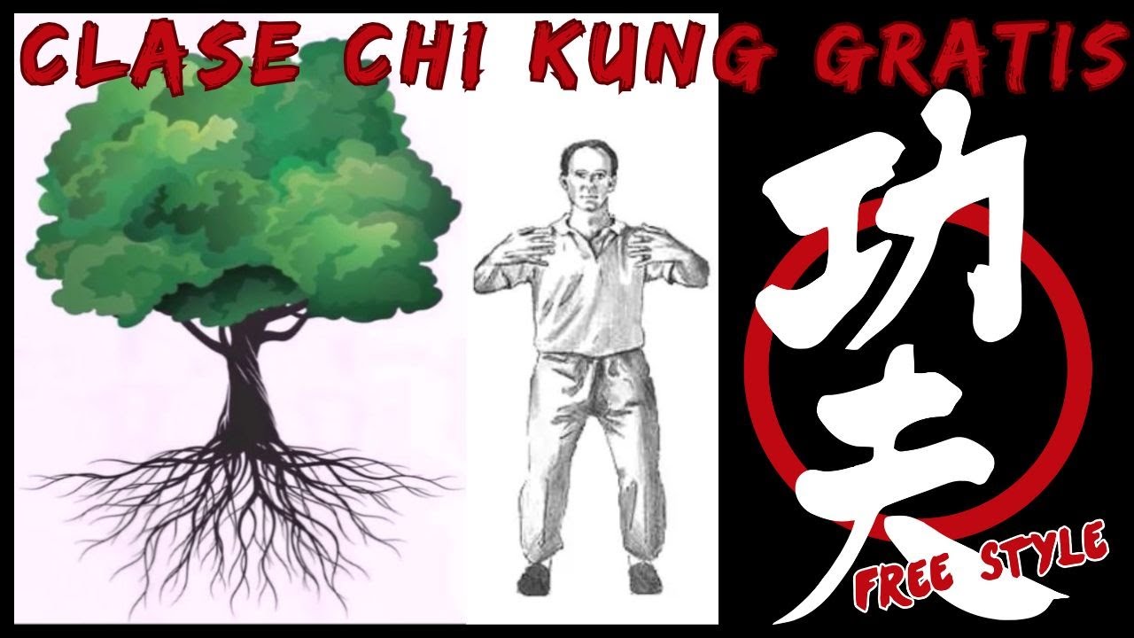 CHI KUNG//ZHAN ZHUANG-Clase virtual completa