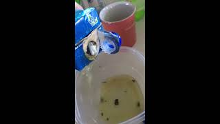 Warning! Moldy VITA COCO INSIDE